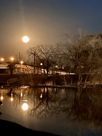 the moon is reflected in the water